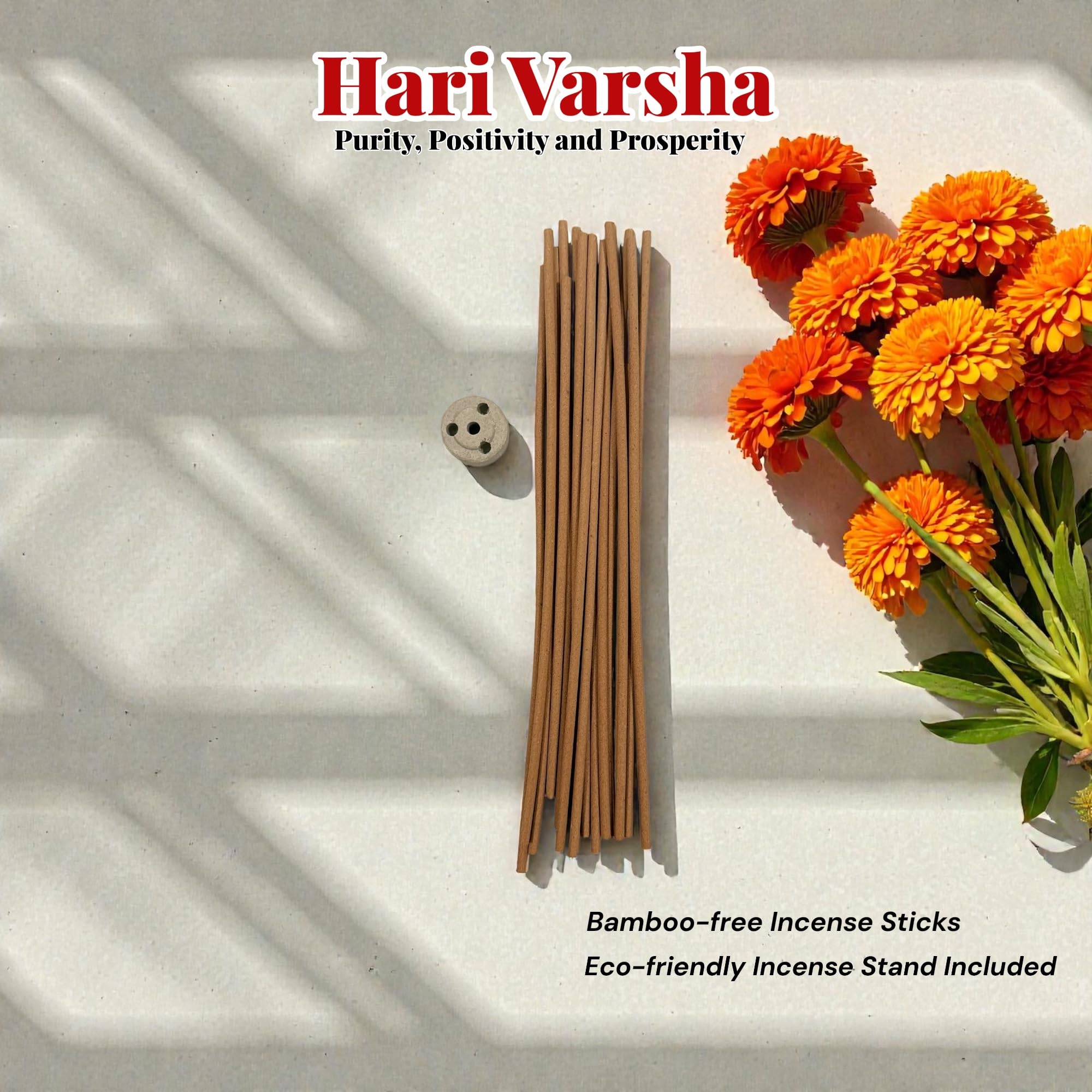 Bamboo-Free Incense Sticks with FREE Incense Stand | Indian Dance Inspired Hand-Rolled Agarbatti for Meditation, Yoga & Pooja – Hari Varsha